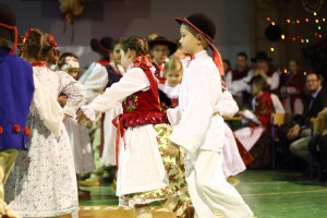 hulajcz10133