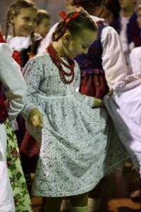 hulajcz10204