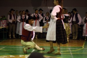 hulajcz20033