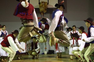 hulajcz20075