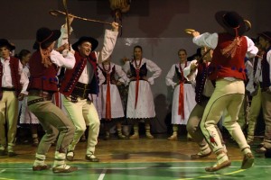 hulajcz20085