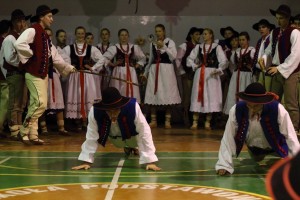 hulajcz20088